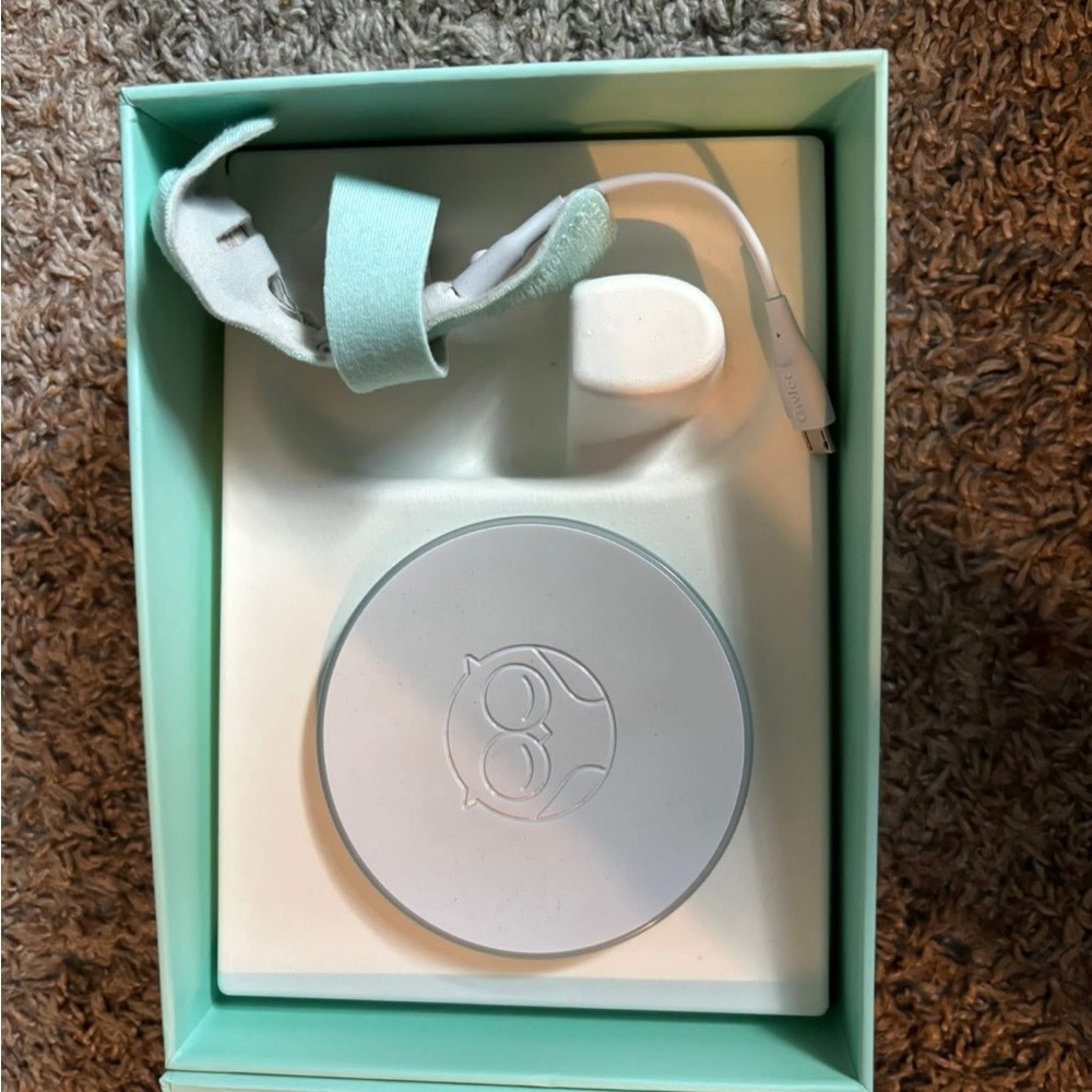 Mint Green Baby Monitor Sock